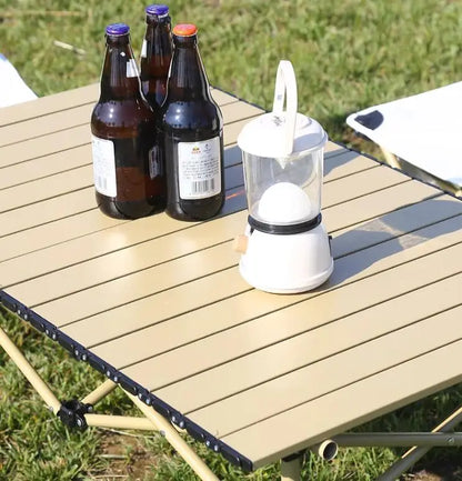 Outdoor customized picnic table-2